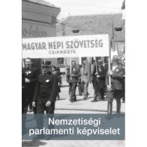 NEMZETISÉGI PARLAMENTI KÉPVISELET