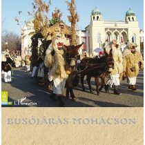 BUSÓJÁRÁS MOHÁCSON