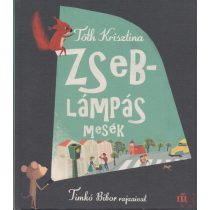 ZSEBLÁMPÁS MESÉK
