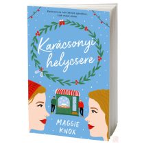 KARÁCSONYI HELYCSERE (NEM éldekorált kiadás) - Elfogyott
