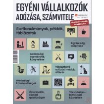 EGYÉNI VÁLLALKOZÓK ADÓZÁSA, SZÁMVITELE