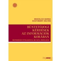 BÜNTETŐJOGI KÉRDÉSEK AZ INFORMÁCIÓK KORÁBAN