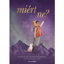   MIÉRT NE? - EGY TÖRTÉNET RAGYOGÓ LEHETŐSÉGEINK FELFEDEZÉSÉRŐL