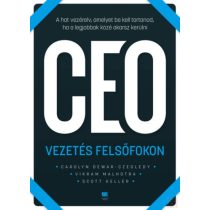 CEO - VEZETÉS FELSŐFOKON