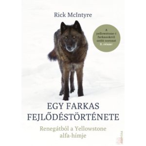 EGY FARKAS FEJLŐDÉSTÖRTÉNETE