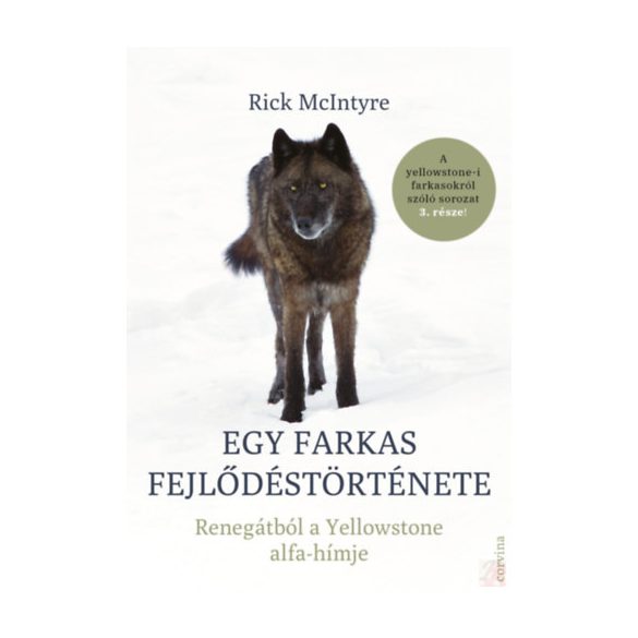 EGY FARKAS FEJLŐDÉSTÖRTÉNETE