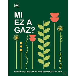 MI EZ A GAZ?