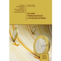 ÁLLAMI TÁMOGATÁSOK A GYAKORLATBAN