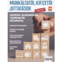 MUNKÁLTATÓI, KIFIZETŐI JUTTATÁSOK