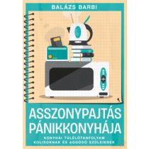 ASSZONYPAJTÁS PÁNIKKONYHÁJA