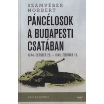 PÁNCÉLOSOK A BUDAPESTI CSATÁBAN