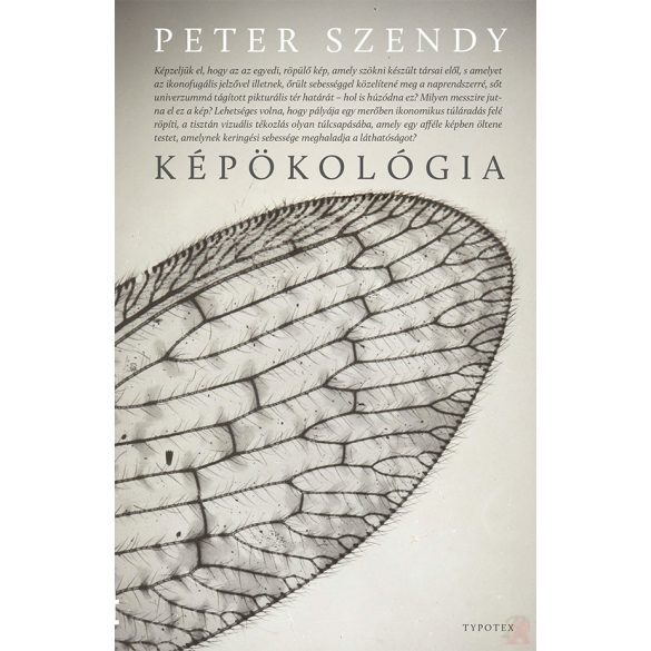KÉPÖKOLÓGIA