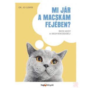 MI JÁR A MACSKÁM FEJÉBEN?
