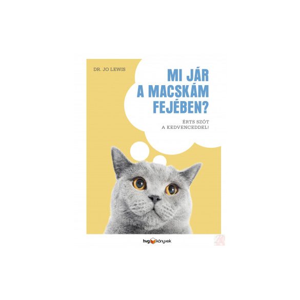 MI JÁR A MACSKÁM FEJÉBEN?