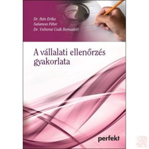 A VÁLLALATI ELLENŐRZÉS GYAKORLATA