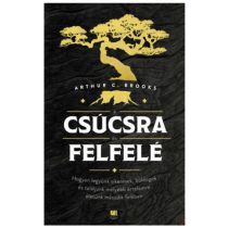 A CSÚCSRA ÉS FELFELÉ