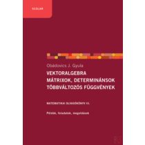   VEKTORALGEBRA; MÁTRIXOK, DETERMINÁNSOK; TÖBBVÁLTOZÓS FÜGGVÉNYEK - Elfogyott