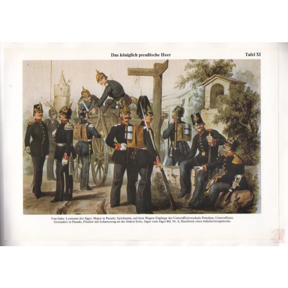 DAS KÖNIGLICH PREUßISCHE HEER (1861-1865)
