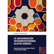   AZ AGGLOMERÁCIÓK INTÉZMÉNYESÍTÉSÉNEK SAJÁTOS KÉRDÉSEI