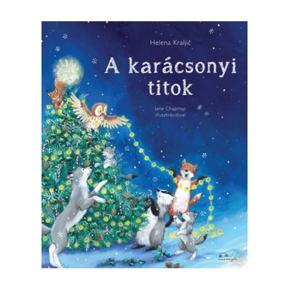 A KARÁCSONYI TITOK