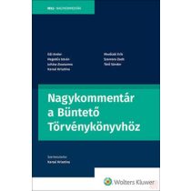 NAGYKOMMENTÁR A BÜNTETŐ TÖRVÉNYKÖNYVHÖZ (2022)