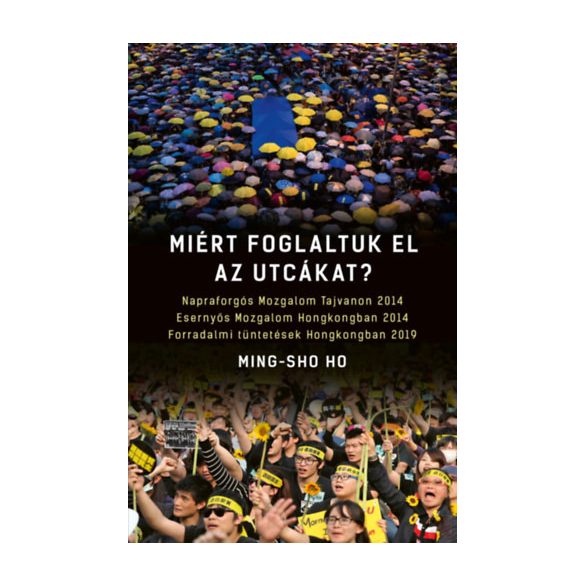 MIÉRT FOGLALTUK EL AZ UTCÁKAT?