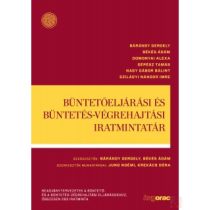   BÜNTETŐELJÁRÁSI ÉS BÜNTETÉS-VÉGREHAJTÁSI IRATMINTATÁR