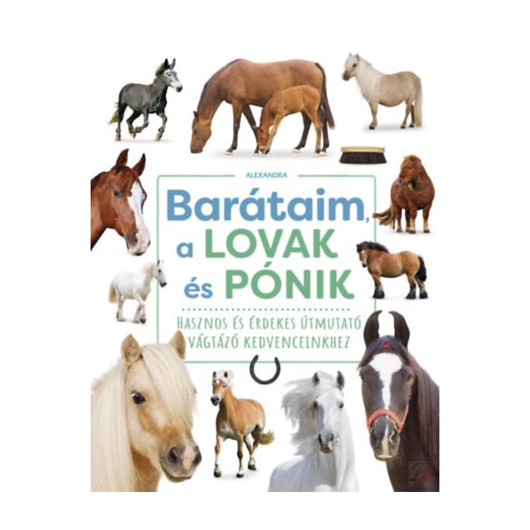 BARÁTAIM, A LOVAK ÉS PÓNIK