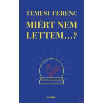 MIÉRT NEM LETTEM...?