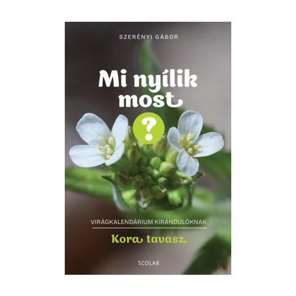 MI NYÍLIK MOST? - KORA TAVASZ