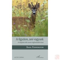A FIGYELEM, AMI VAGYUNK