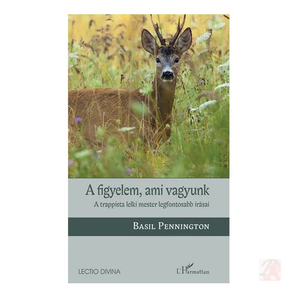 A FIGYELEM, AMI VAGYUNK