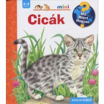 CICÁK