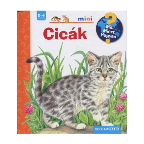 CICÁK